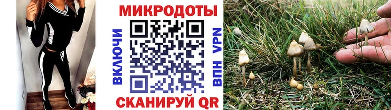 Псилоцибиновые грибы MAGIC MUSHROOMS  даркнет сайт  Красавино 